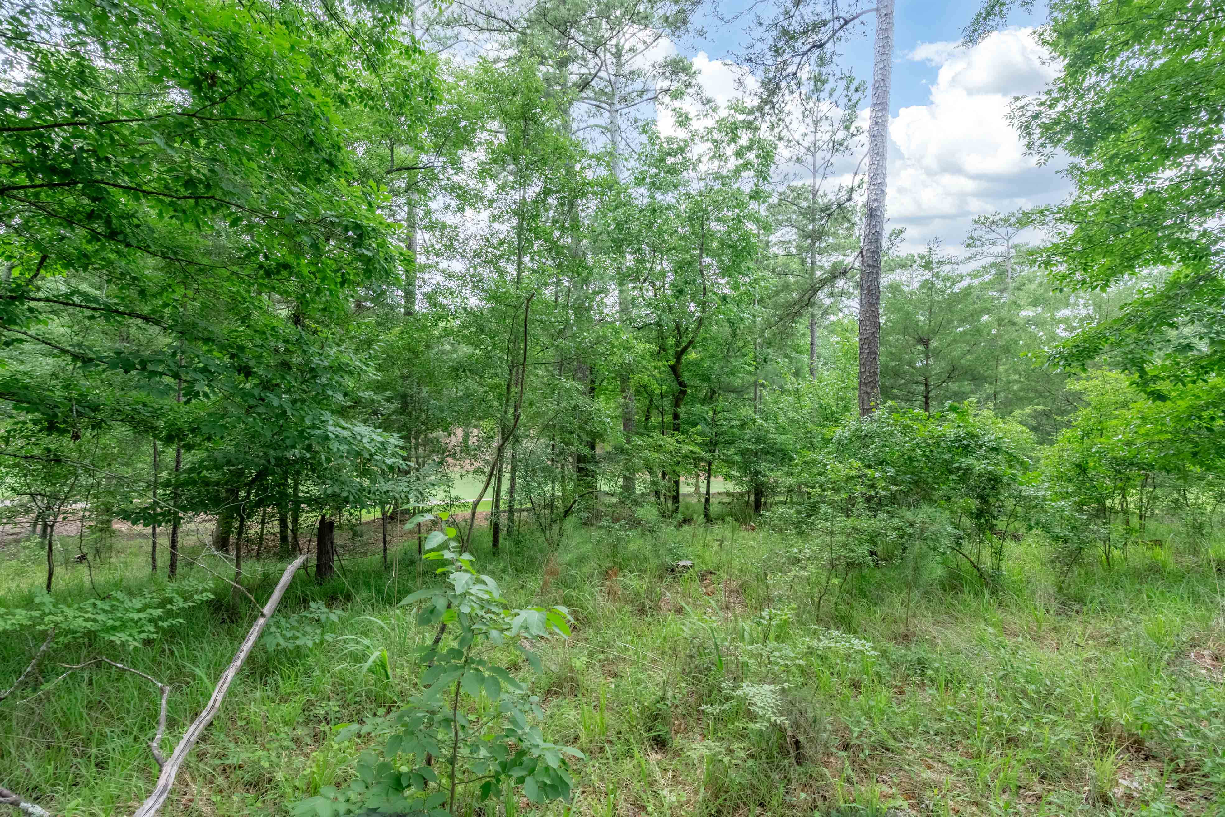 1101 Scull Shoals Drive image 16